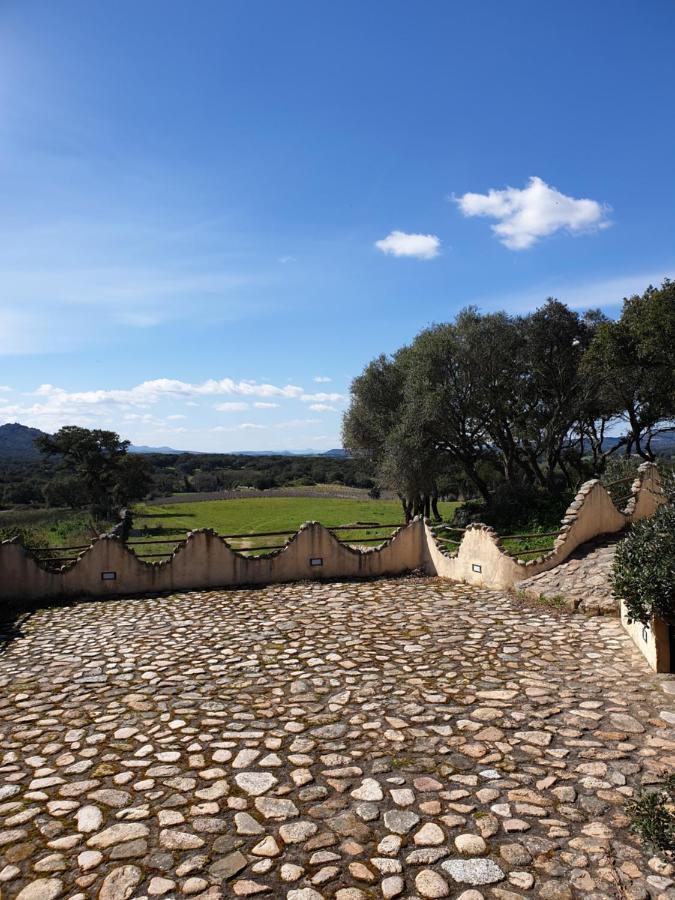 Cantina Perandria Monti Exterior photo